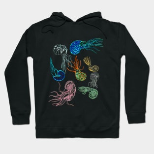 Ammonites at Night Hoodie